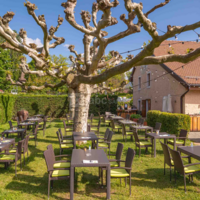 Garden & Cooking