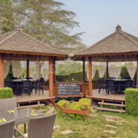 Garden & Cooking