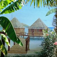 Fresques pour vos photos
