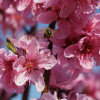 L'exploitation agricole