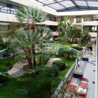 Patio intérieur