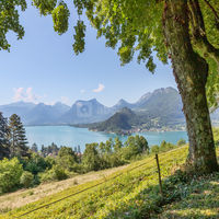 Domaine du Thoron