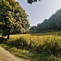 Www.domaine-lvd.com