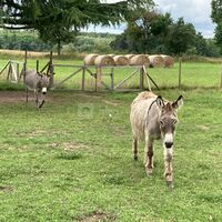 LES COMPAGNONS DU DOMAINE