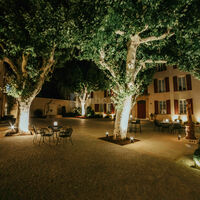 Cour des platanes