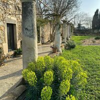 Domaine Celadon