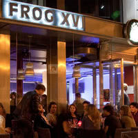 Frog XVI