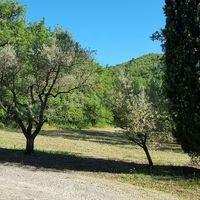 Domaine de la Santonne