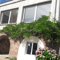 Villa Aviv