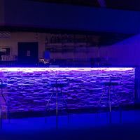 La Caverne de Civray