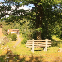 Notre Dame des Monts