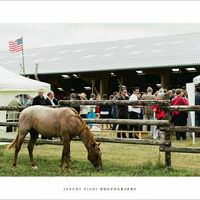 Thomas Ranch