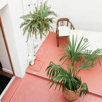 Patio arriere cour