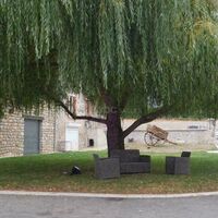 Intérieur de la cours