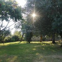 La Grande Barbotière