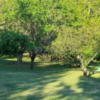 Parc du domaine