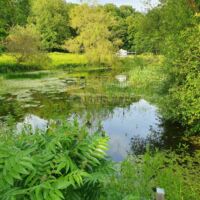 ETANG PRES DU TIPI
