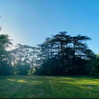Parc