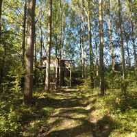 Les Nids de Chlorofil