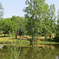 L'étang
