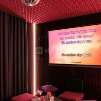 Karaoke