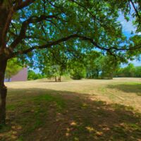 Espace Culturel le Quatrain
