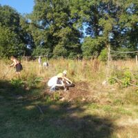 Espace permaculture