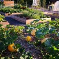 Permaculture