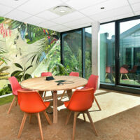 Salle Amazone