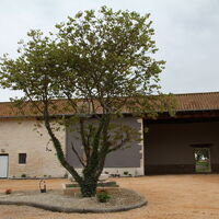 Vue entrée principale et salle de cérémonie