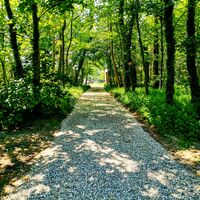 Entrée prestataires