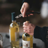 Dégustation de vins