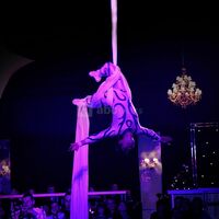 Spectacle de haute voltige !