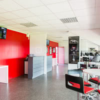 Stade Toulousain Rugby