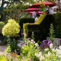 Manoir de Procé - Terrasse