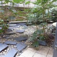 Terrasse_1