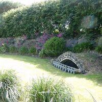 Butte crocodile