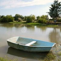Barque