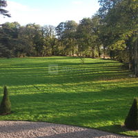 Vue sur pelouse