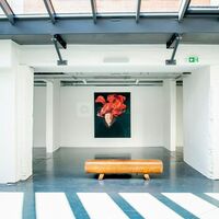 Galérie d'exposition baignée à la lumière du jour