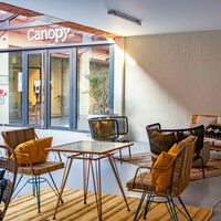 Cour de Canopy