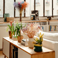 Le Loft du Canal