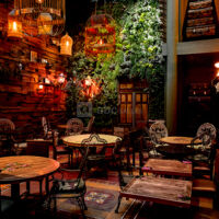 LE PATIO 1ER ETAGE