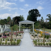 Roseraie, jardins à la française