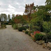 Le Paradis d'Anjelina