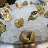 Bar à huîtres