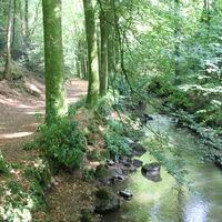Parc arboré de 12 ha