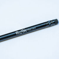 Crayon du Rizom Meeting