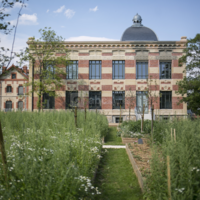 Le Château et son jardin
