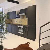 Loft Nice